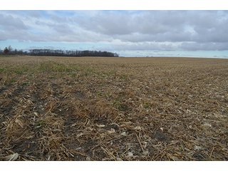 Property photo 26 - LAND AUCTION - 276.5+/- ACRES OFFERED IN 5 TRACTS IN EAST ALLEN COUNTY